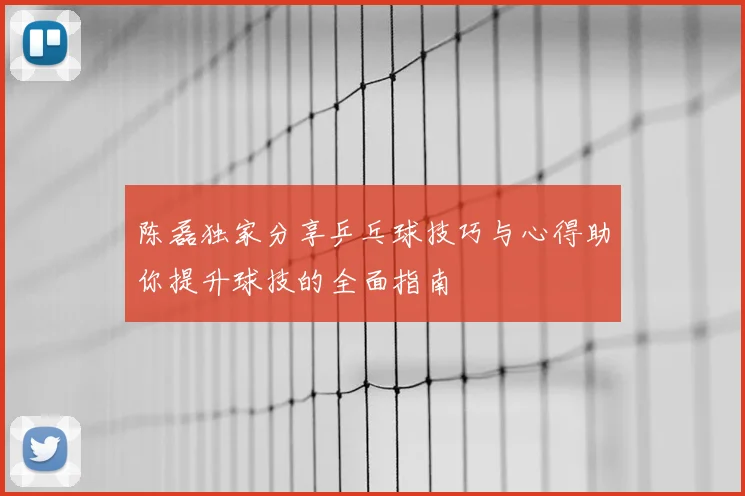 陈磊独家分享乒乓球技巧与心得助你提升球技的全面指南