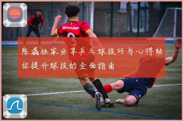 陈磊独家分享乒乓球技巧与心得助你提升球技的全面指南