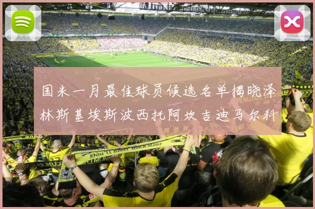 国米一月最佳球员候选名单揭晓泽林斯基埃斯波西托阿坎吉迪马尔科争夺荣誉