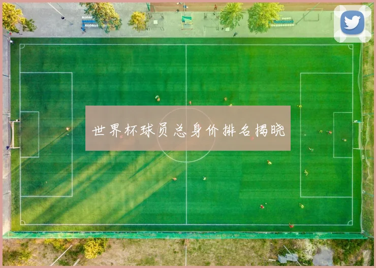 世界杯球员总身价排名揭晓