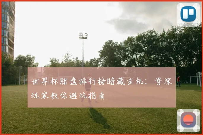 世界杯赌盘排行榜暗藏玄机:资深玩家教你避坑指南