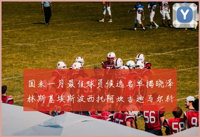 国米一月最佳球员候选名单揭晓泽林斯基埃斯波西托阿坎吉迪马尔科争夺荣誉