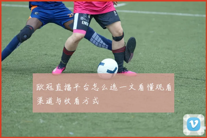 欧冠直播平台怎么选一文看懂观看渠道与收看方式