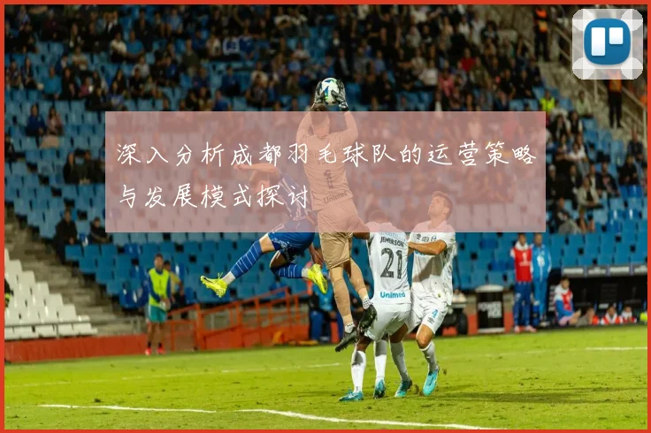 深入分析成都羽毛球队的运营策略与发展模式探讨