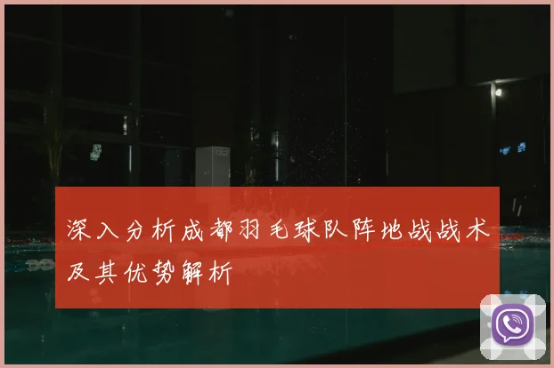 深入分析成都羽毛球队阵地战战术及其优势解析