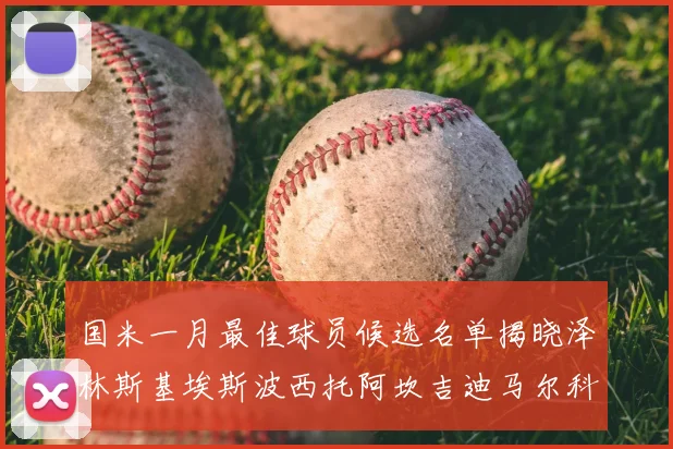 国米一月最佳球员候选名单揭晓泽林斯基埃斯波西托阿坎吉迪马尔科争夺荣誉