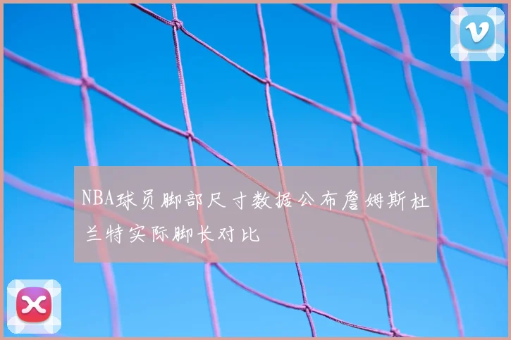 NBA球员脚部尺寸数据公布詹姆斯杜兰特实际脚长对比